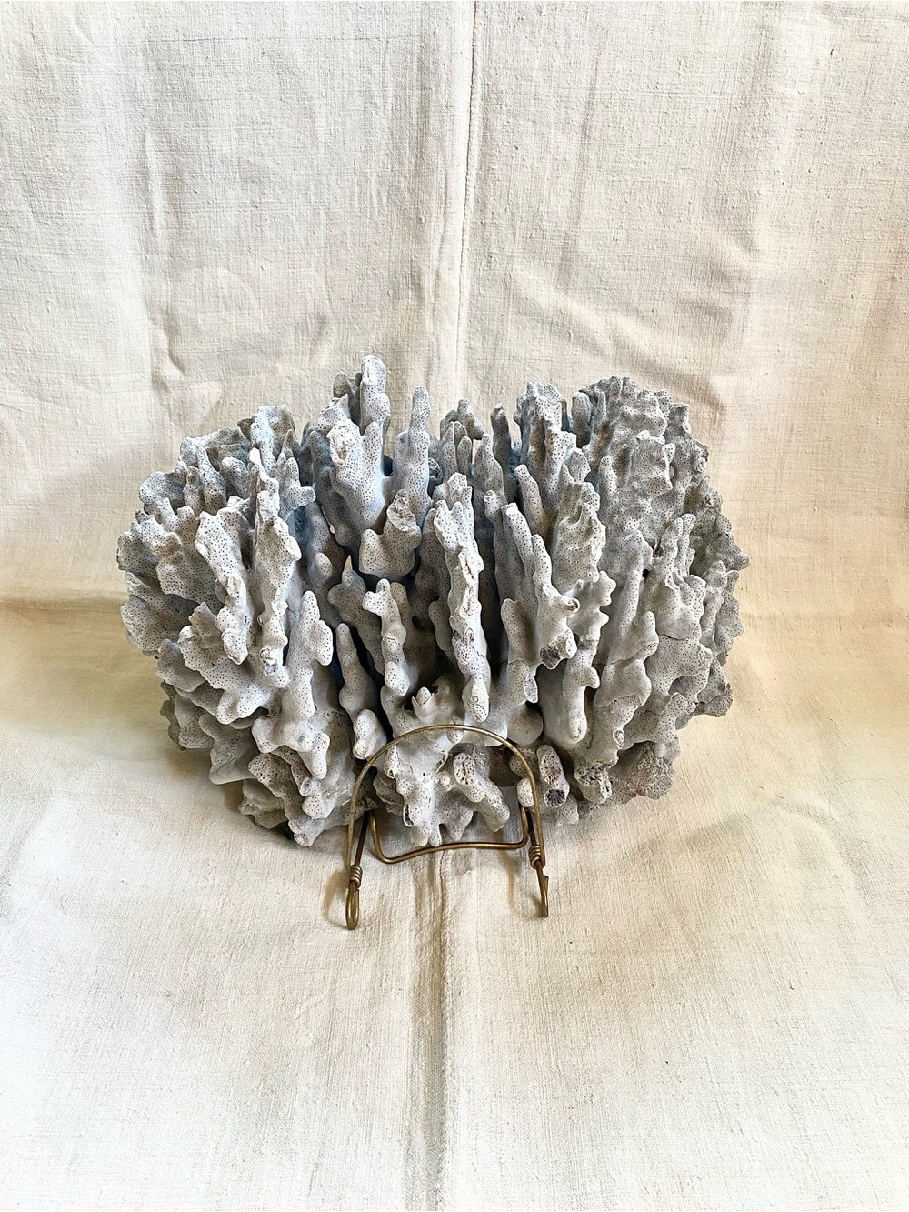 RARE VTG Large Purple California Reef Coral Specimen